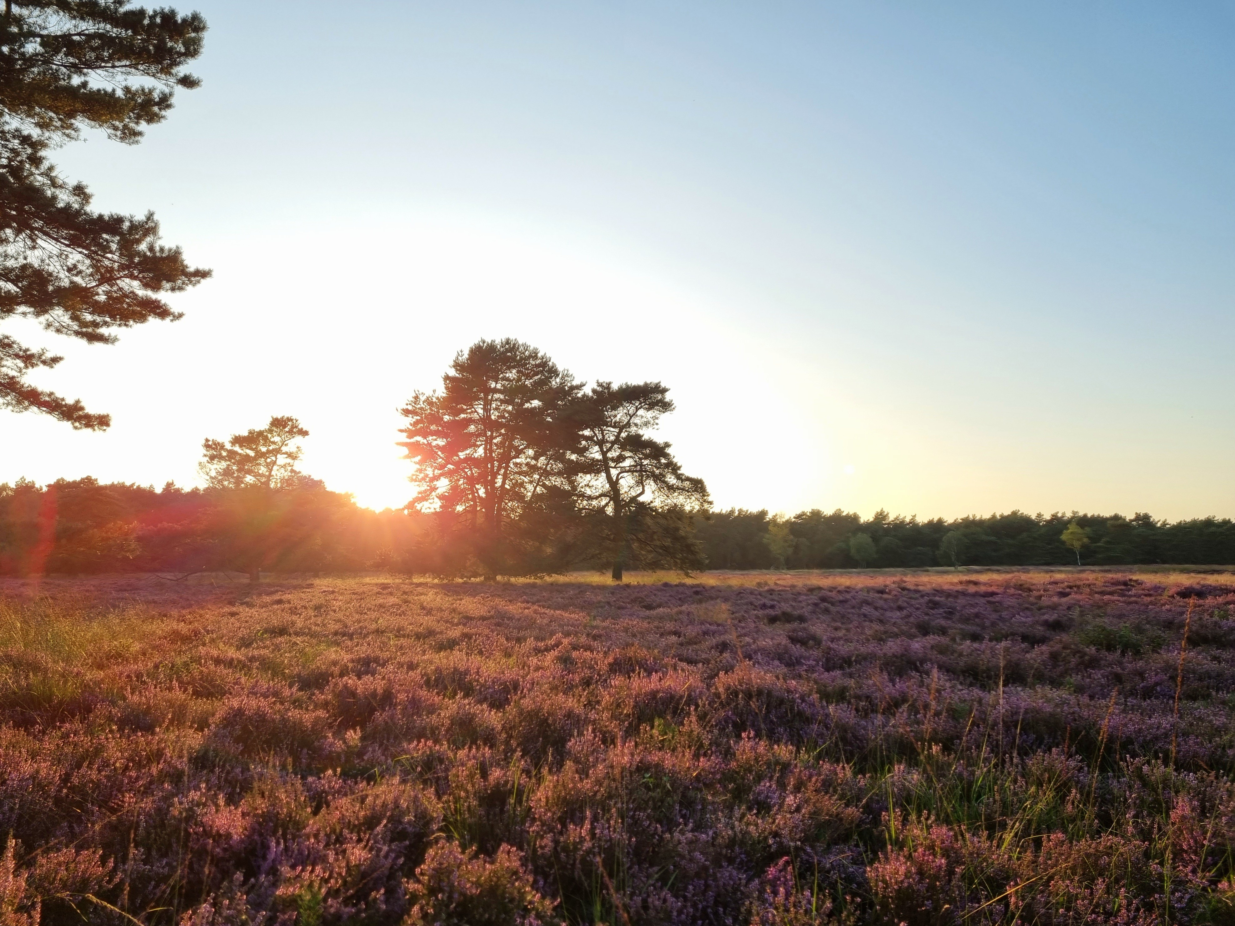 Nazomerzon wenkt na regenachtig weekend