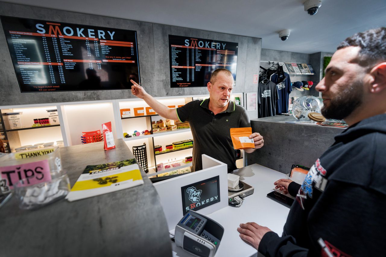 Proef legale wietproductie: voorzichtig optimisme, maar illegale handel blijft