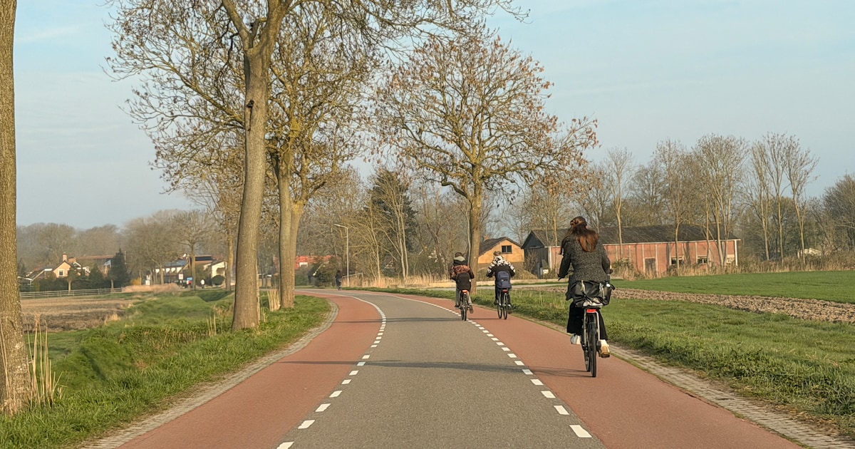 Kritiek op Zeeuwse wegenheffing haalt niets uit: provincie keurt nieuwe belasting van waterschap goed