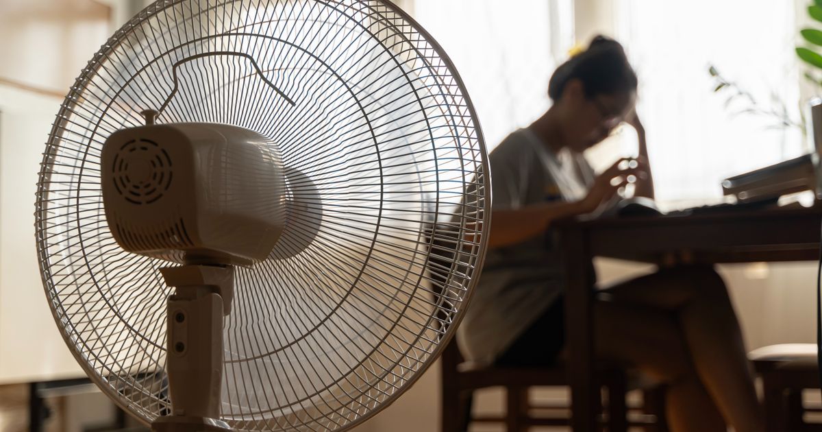 Limburg op scherp: Zomerse temperaturen verwacht, koelere dagen volgen