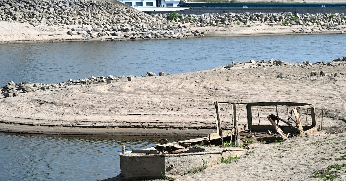 Binnenvaart Nederland zakt weg: 20% minder handel door laag water