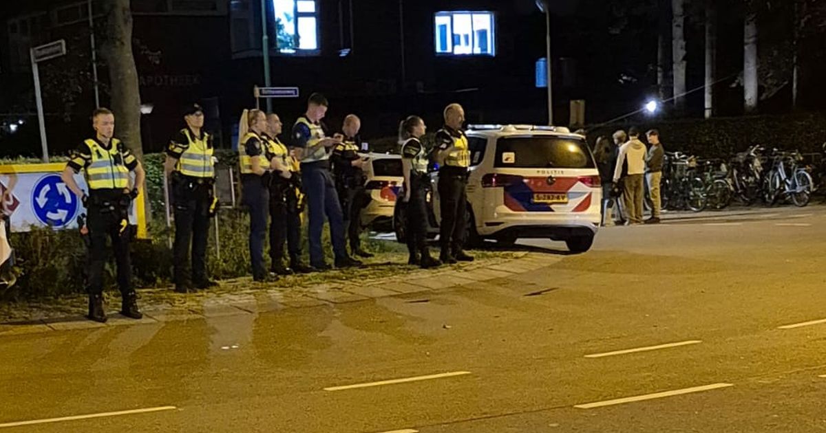 Zwaarbeveiligde Kunstmarkt De Bilt rustig verlopen na eerder 'hooligangedrag'