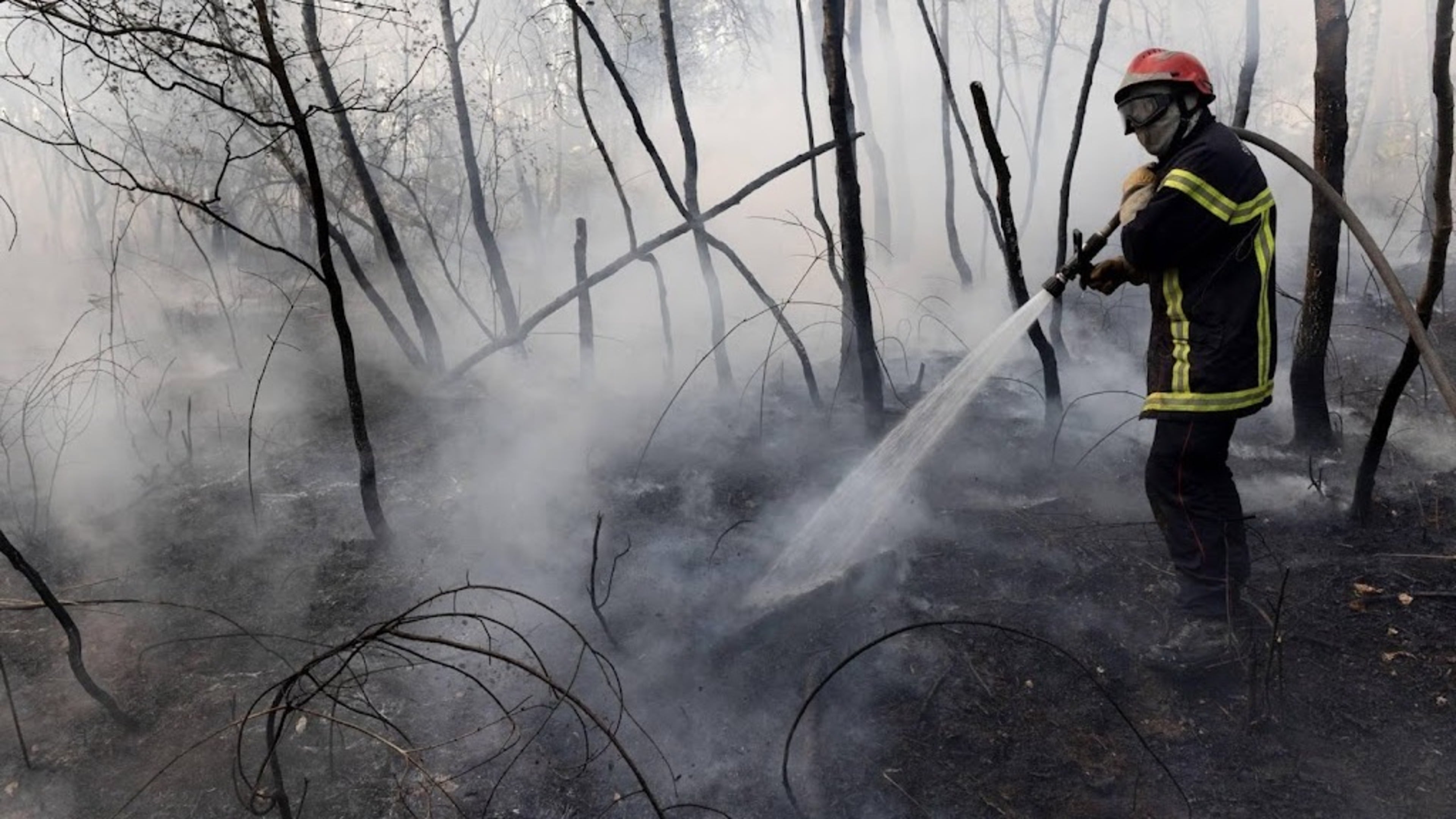 Natuurbrand teistert Zuid-Frankrijk: grootschalige inzet brandweer