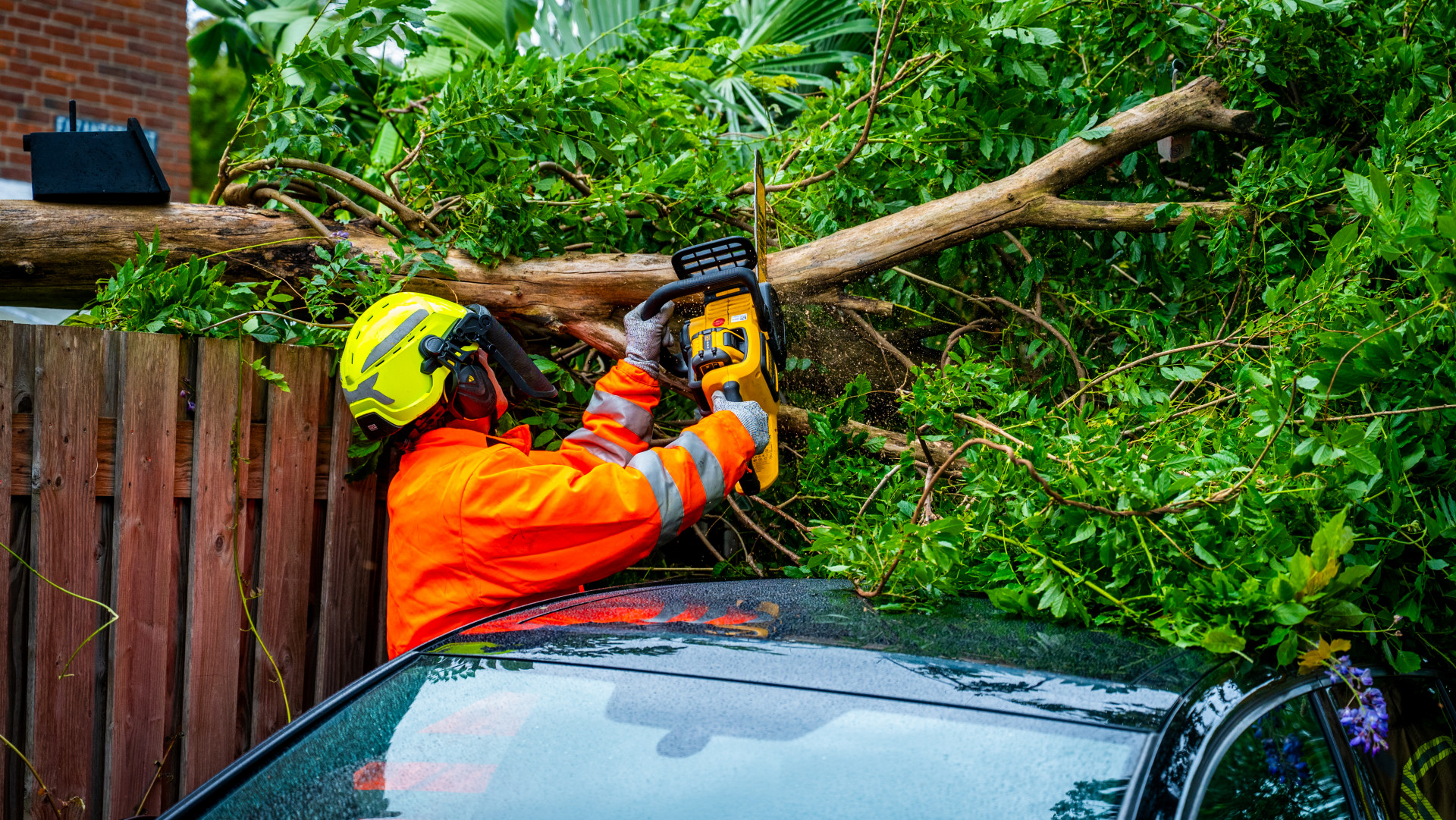 Wind teistert Nederland: boom op auto, zonnescherm dreigt te vallen