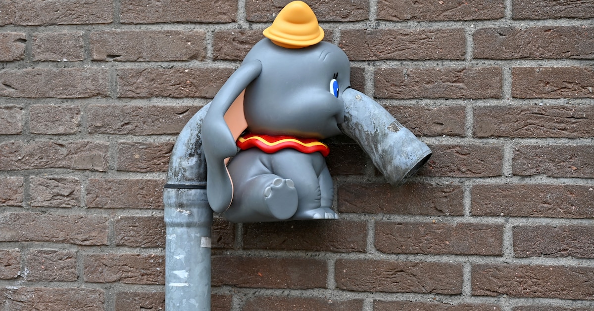 Nieuw kunstwerk van Streetart Frankey opgedoken