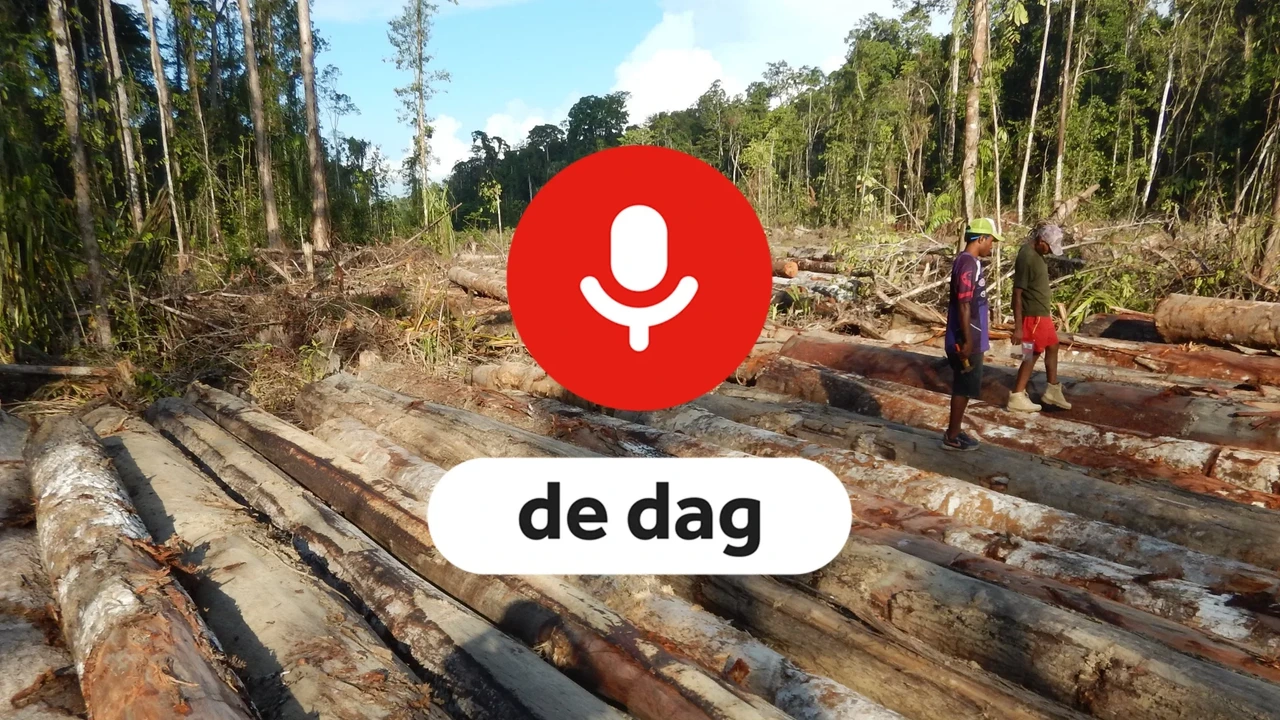 Podcast De Dag: de laatste (verboden) reportage van Mustafa Marghadi